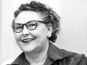 DOSS-Nannie
